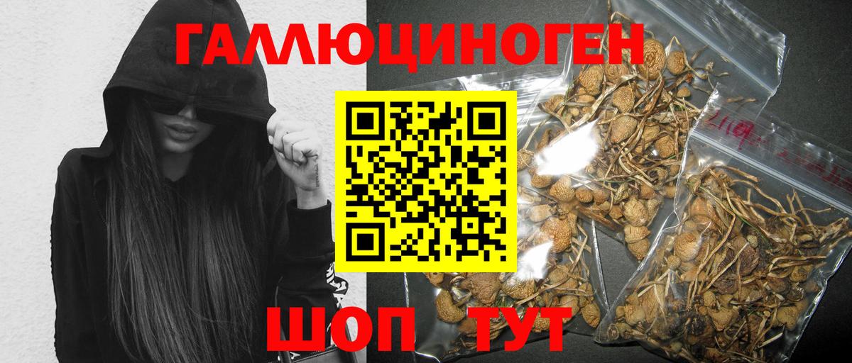 Галлюциногенные грибы Ишим