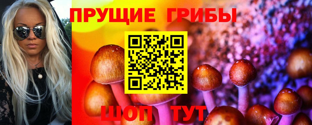 Псилоцибиновые грибы Psilocybe  Псилоцибиновые грибы мицелий  Ишим  Вход с VPN 